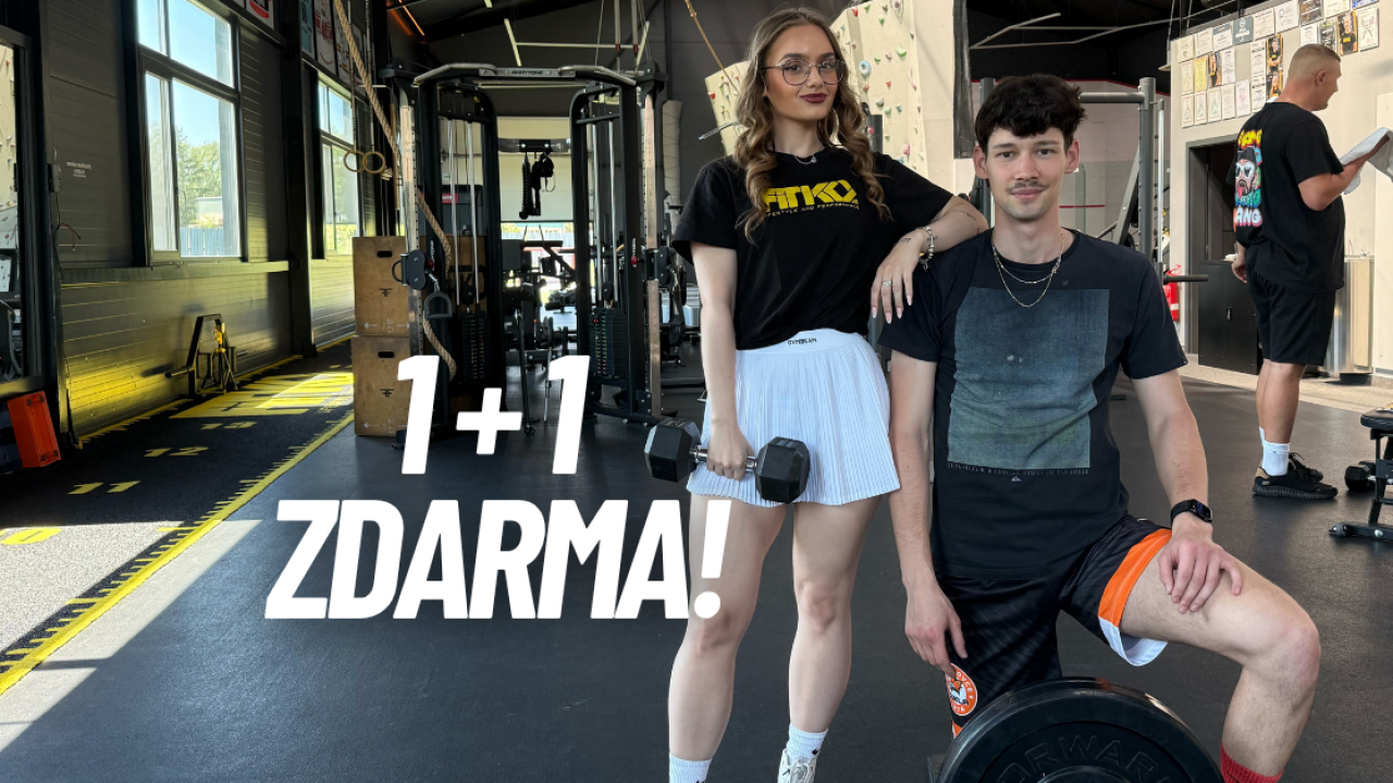 1+1 ZDARMA (2)